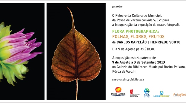 Flora Photographica: folhas, flores, frutos - Fotografia de Carlos Capelão e Henrique Souto