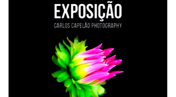 Exposição - World Flowers Photos - Carlos Capelão Photography