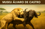 Museu Álvaro de Castro: Um tesouro de África – 